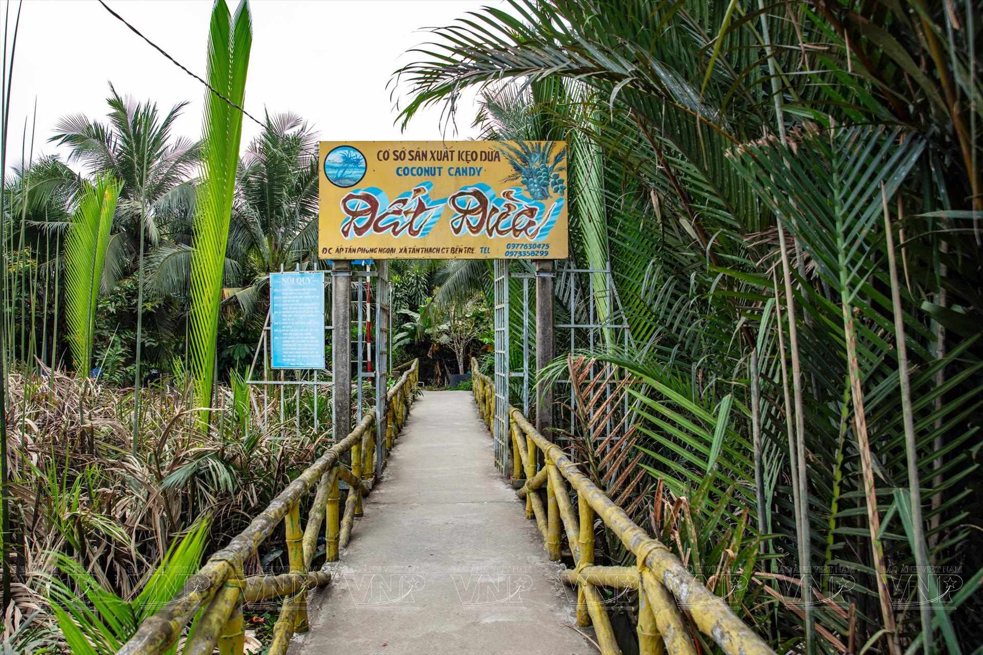 Làng kẹo dừa